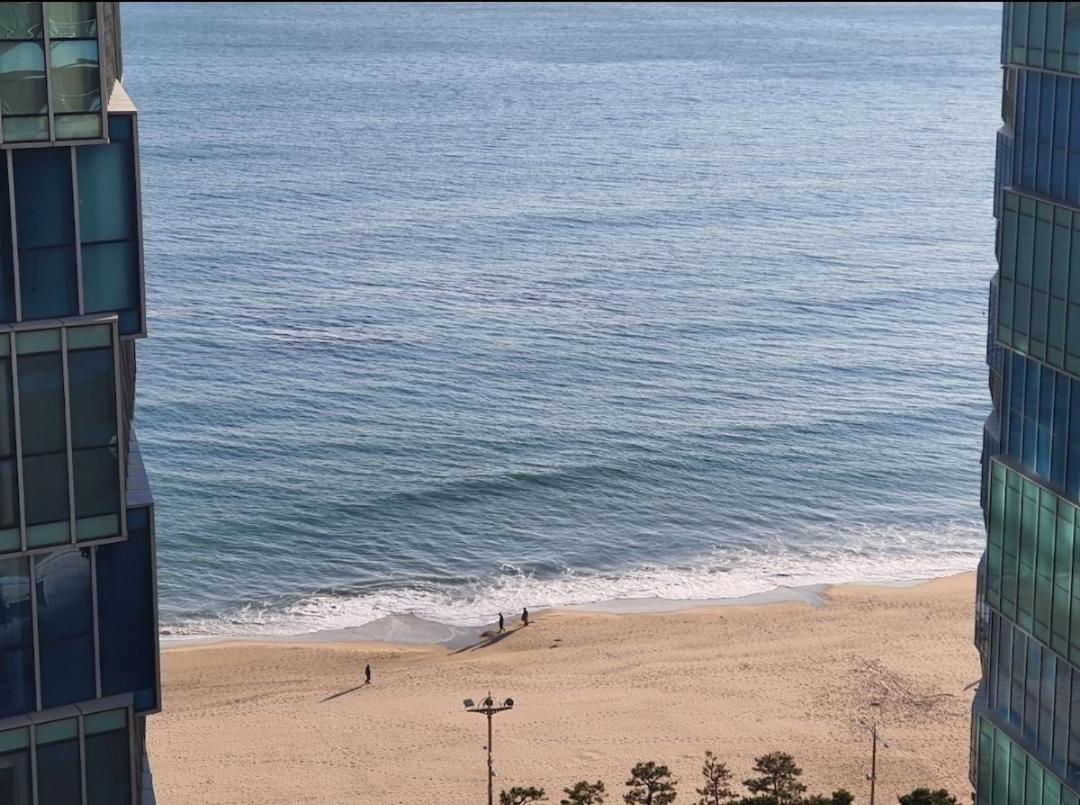 Haeundae Lavender House-Irua Hotel 부산광역시 외부 사진